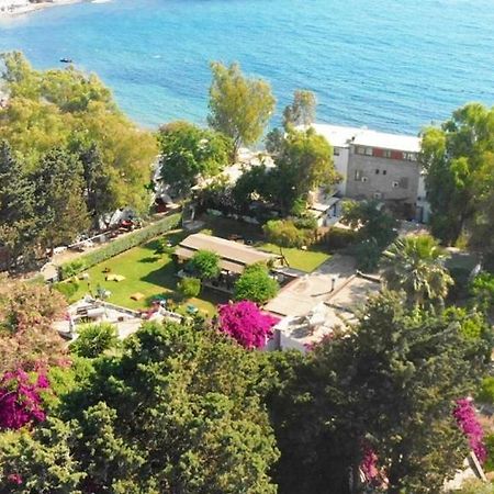 Myndos Bed & Breakfast Bodrum Ngoại thất bức ảnh