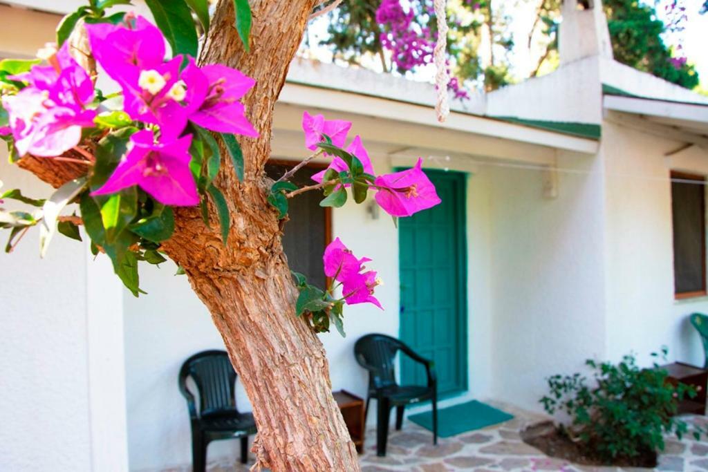 Myndos Bed & Breakfast Bodrum Ngoại thất bức ảnh