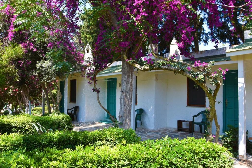 Myndos Bed & Breakfast Bodrum Ngoại thất bức ảnh